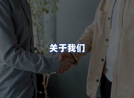 专业团队
